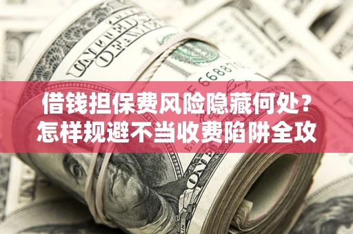 武汉借钱担保费风险隐藏何处？怎样规避不当收费陷阱全攻略！